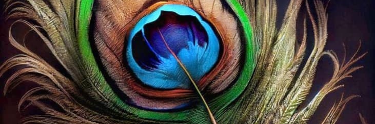 Deepak_talk's profile banner image