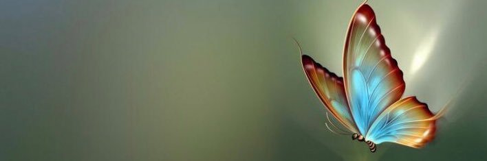 Neia_LR's profile banner image