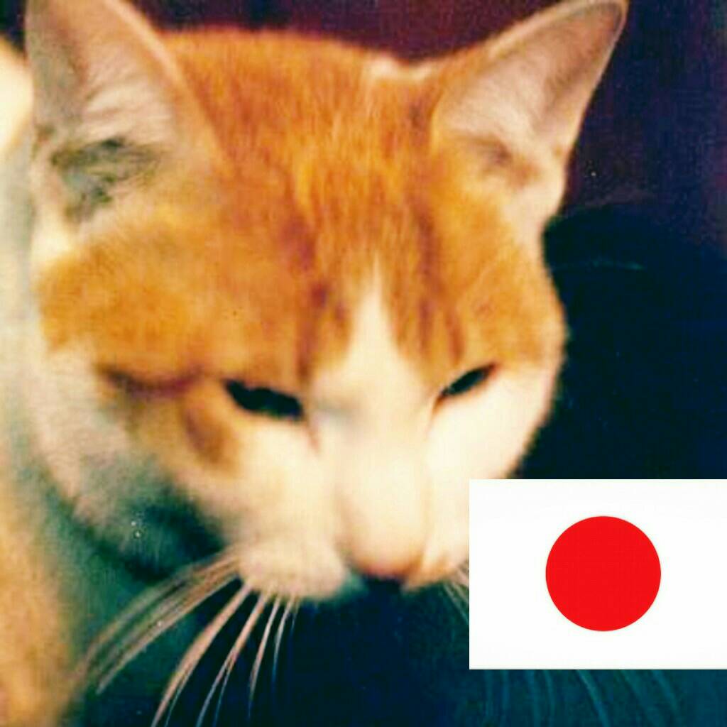 Katsumatachan's profile banner image