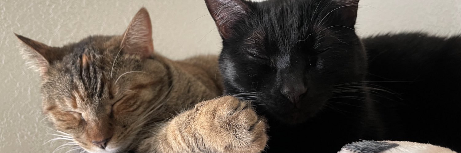 crissbenavidess's profile banner image