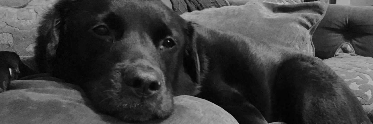 TheJoeGennaro's profile banner image