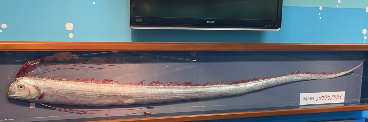 ごきげんなfumfum banner