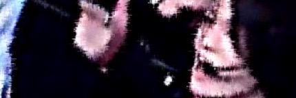 koxxf's profile banner image