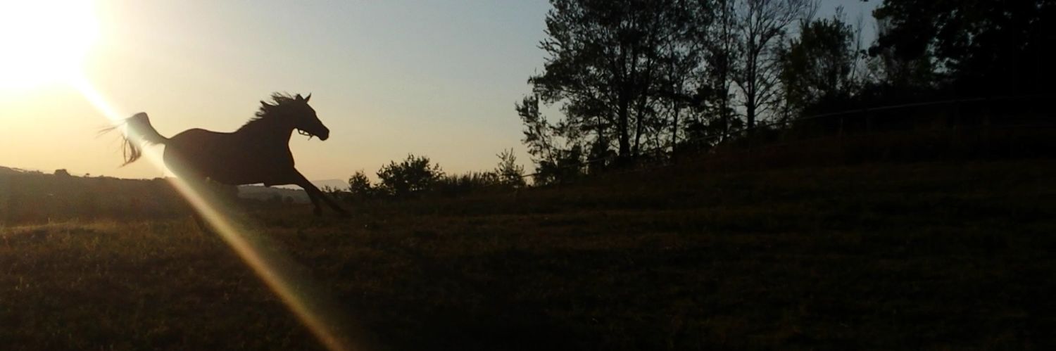 MDM_Farm3_0's profile banner image