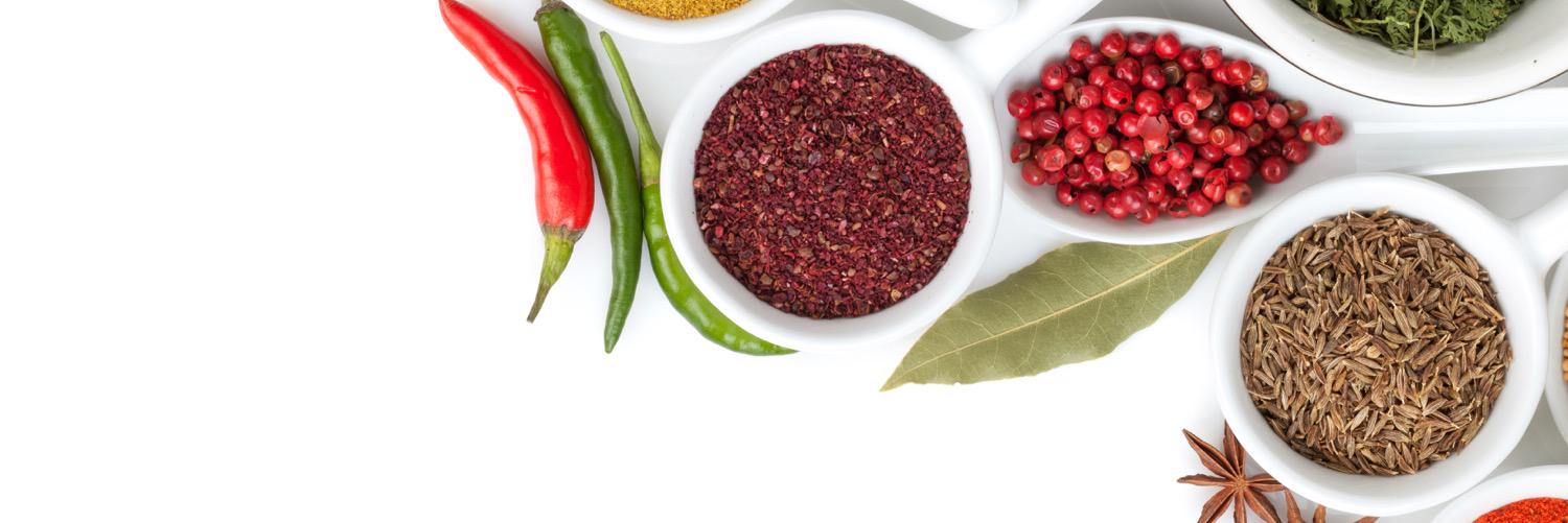 GingerTemperos's profile banner image