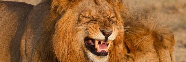 MartinMwangii's profile banner image