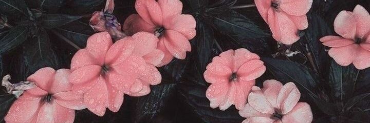R15Rr2's profile banner image