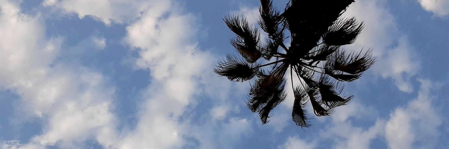 alexandrrapaco's profile banner image