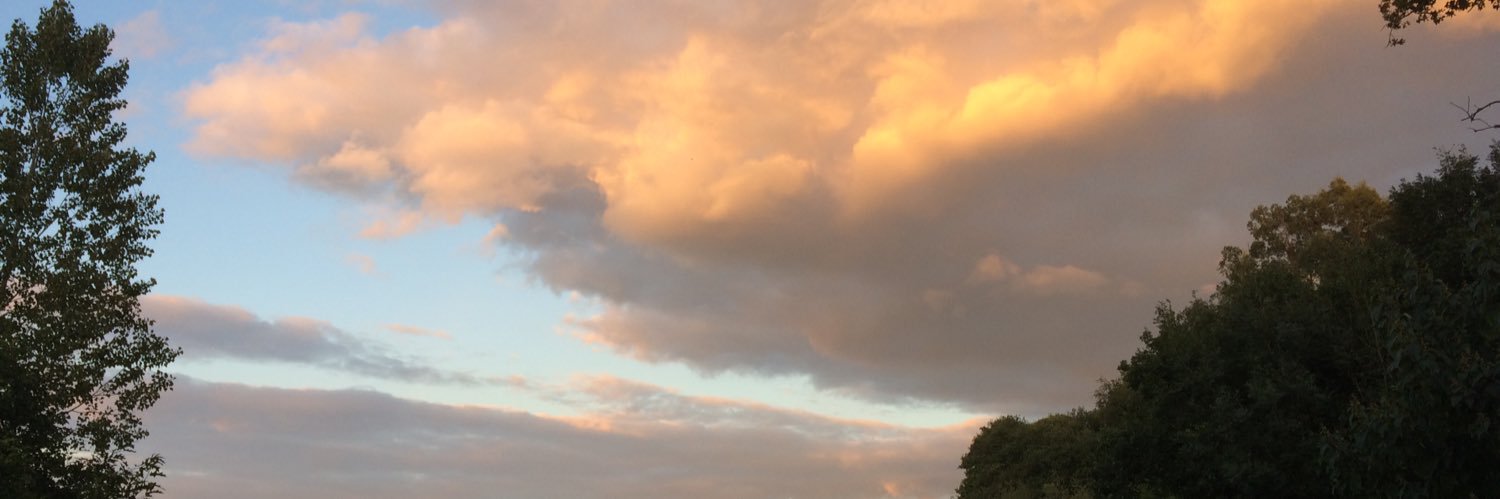 True Words banner