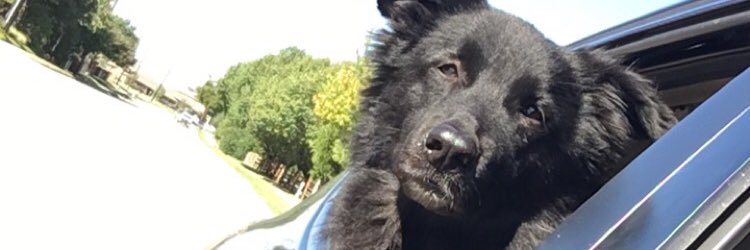 BraandiMichelle's profile banner image