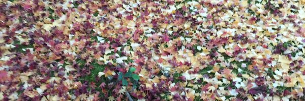 mi__ko69 Profile Banner