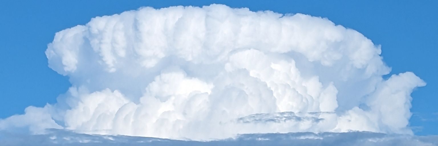 jennadomek's profile banner image