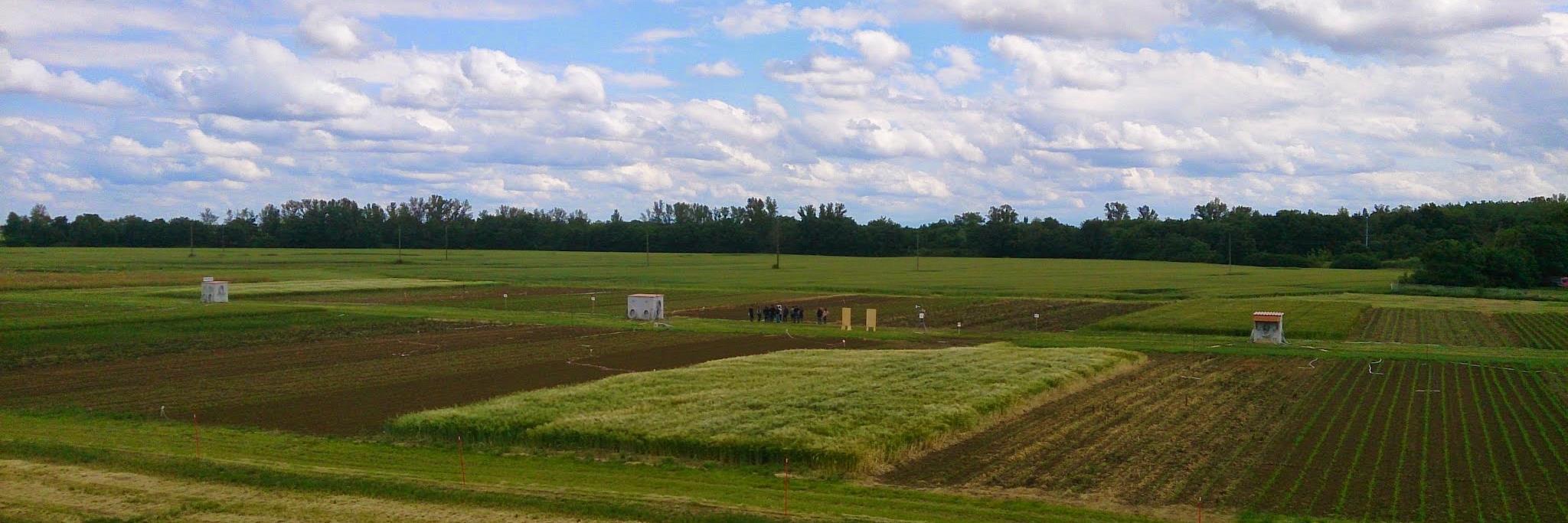 Simon Giuliano banner