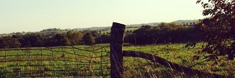 sydney_marsh's profile banner image