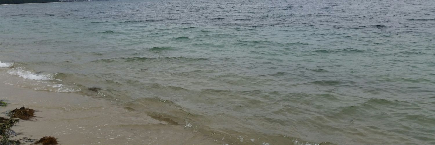 it_mutu0803's profile banner image