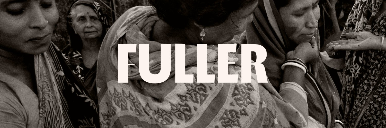 The Fuller Project banner