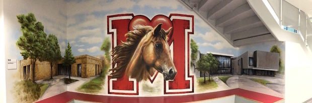 Meadows Elementary banner