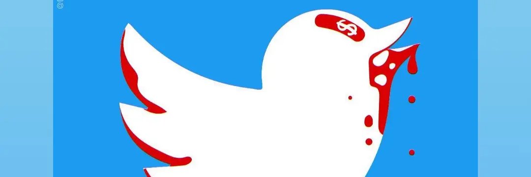 Claudio Brites banner