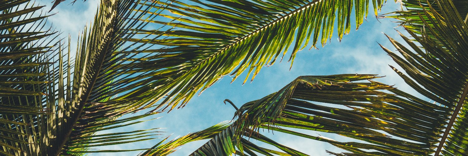 jamalwuave's profile banner image