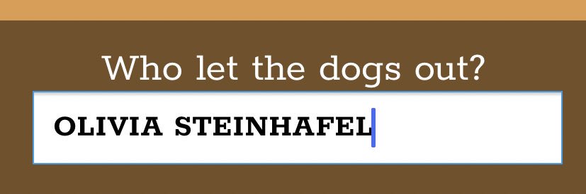 Olivia Steinhafel banner