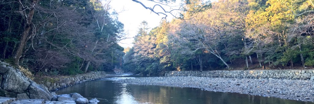 たゆらなこ's banner