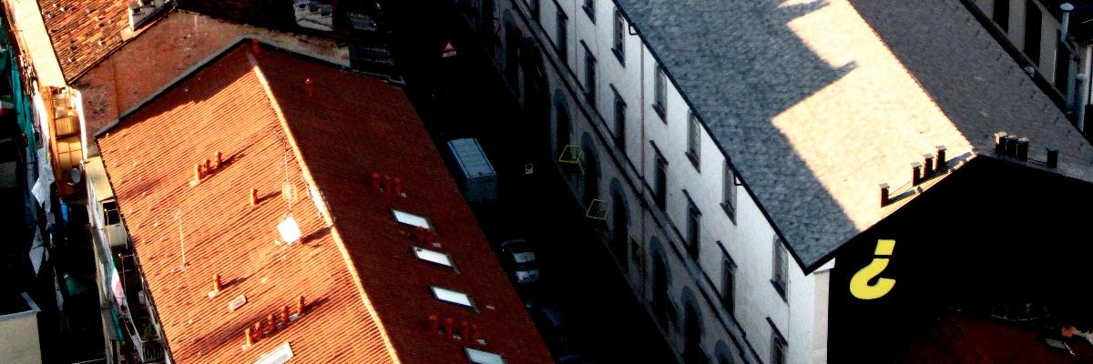 Dr. Tenley Bick banner