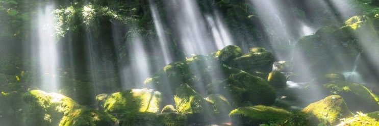 euancia's profile banner image