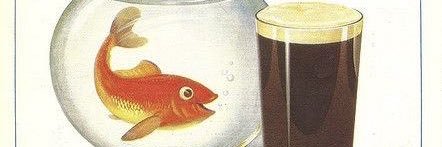 deniizerr's profile banner image
