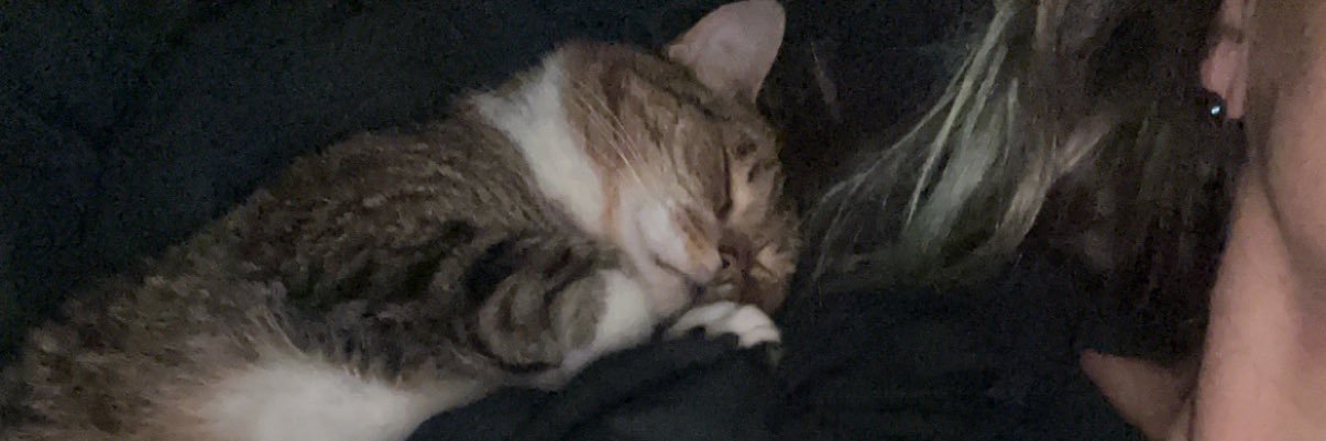GahTamit's profile banner image