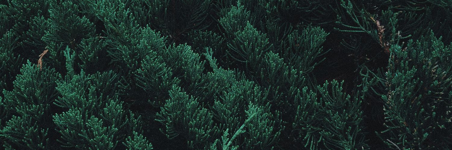 JonChaoticMonk's profile banner image