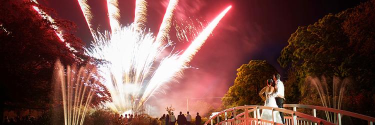 MNSFireworks's profile banner image