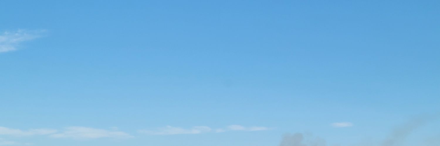 🐧 MP 🌻 banner