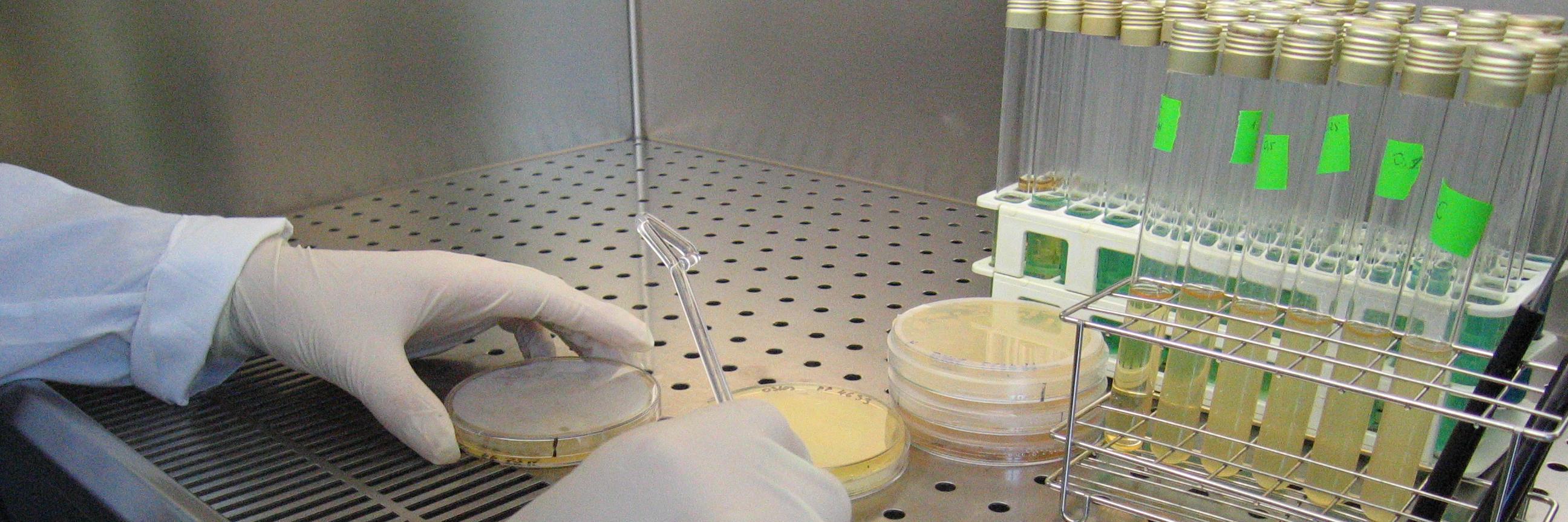 InterfibioURV banner