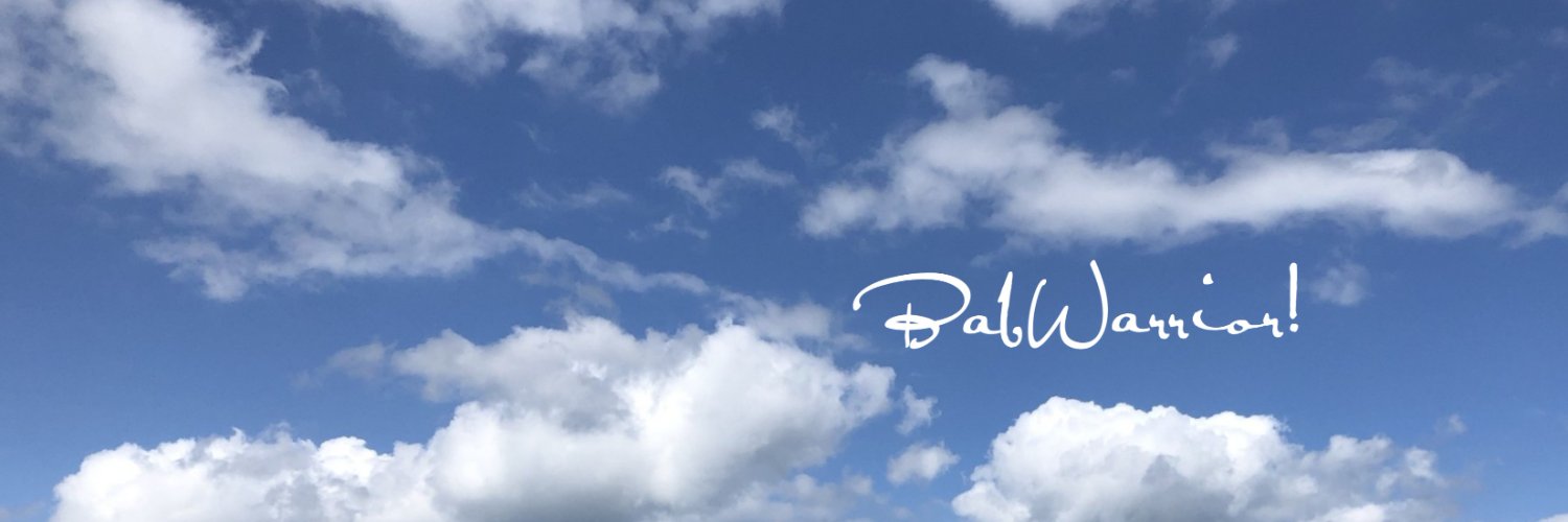 BabWarrior (v) banner