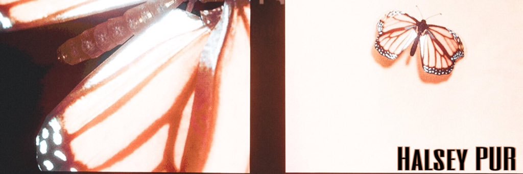 halseypur's profile banner image