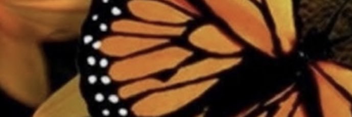 CBressette's profile banner image