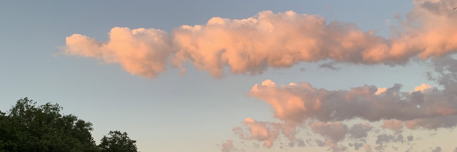 morgan_lamberty's profile banner image