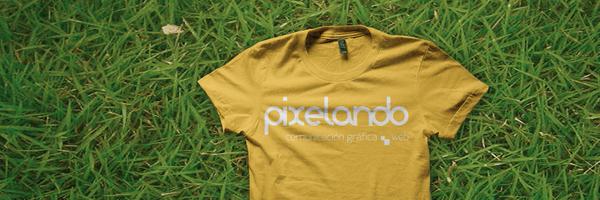 Pixelan Profile Banner