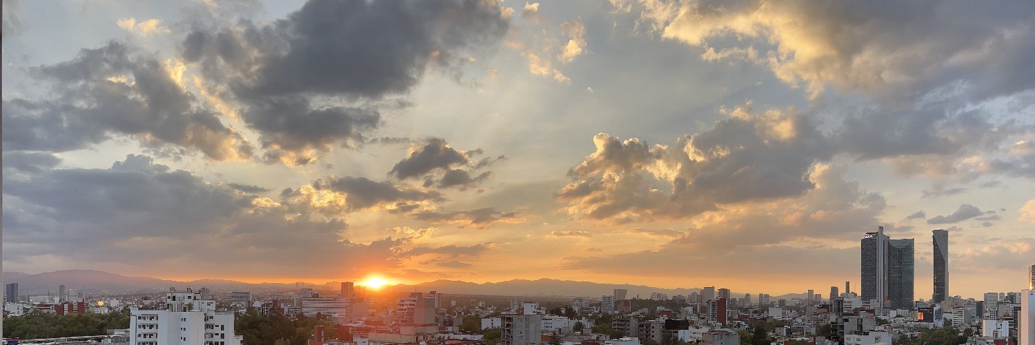 Aaron Polhamus banner