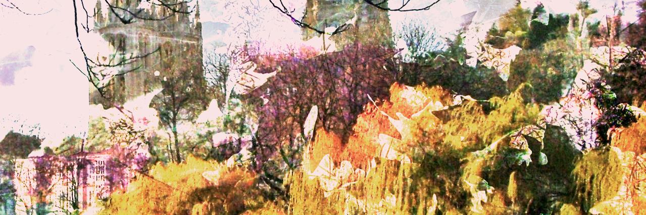 BurgandoenBurgos banner