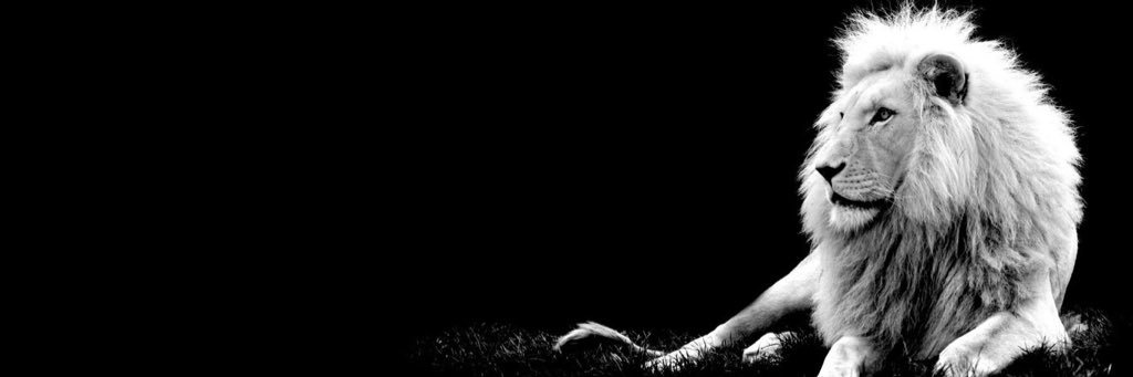 suppabadred8's profile banner image