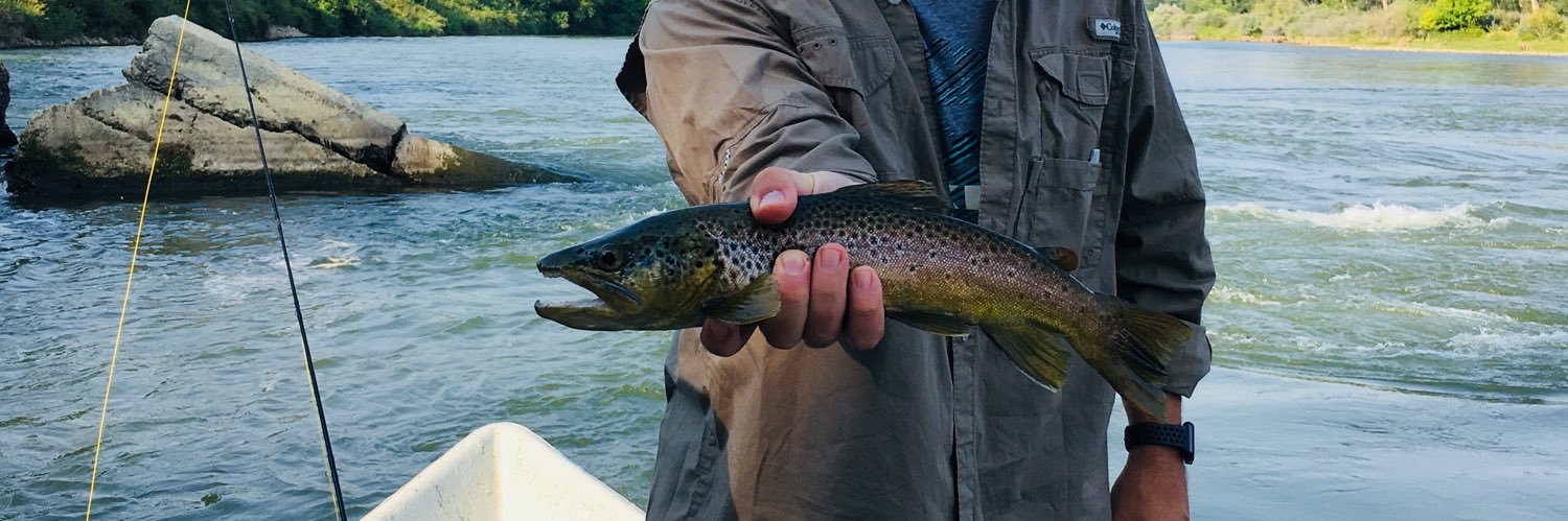 Stacy Brethauer banner