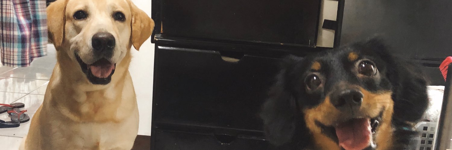 galieeee's profile banner image