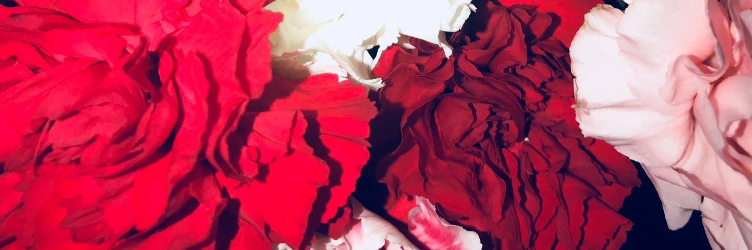 Natasha Wilson banner