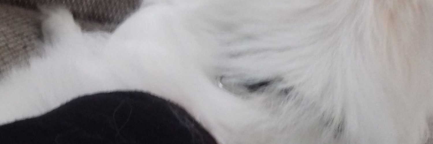 Jb36Jenni's profile banner image