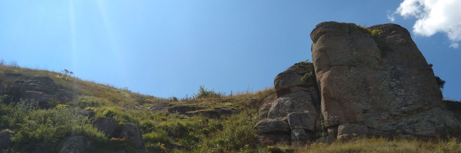 Amirhossein Karimi banner