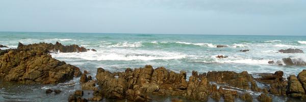 MsRerucha Profile Banner