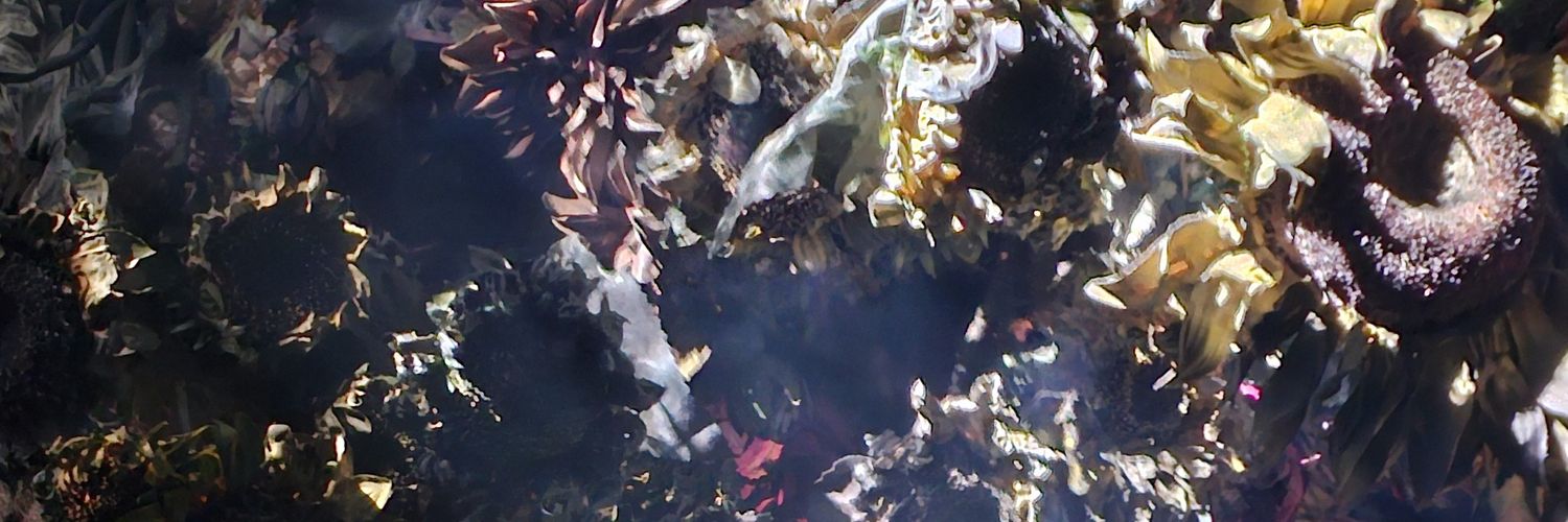 onetsu3's profile banner image