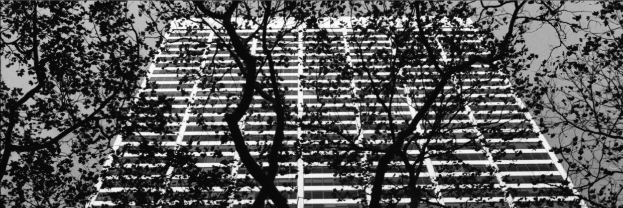 PhotoCole's profile banner image