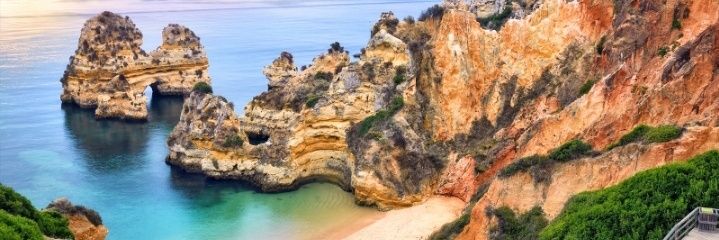 Carnitinina's profile banner image